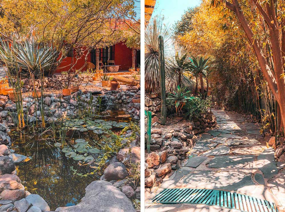 Two Images - Green Pond With Koi Fishes On Left & Green Walkway With Cactus & Trees On Right