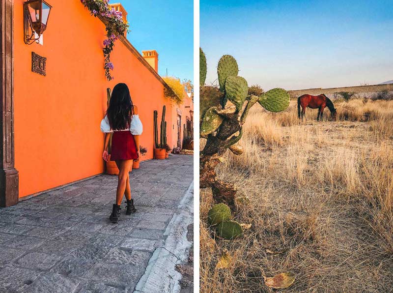 Two Photos - On The Left Is Himanshi Shah Walking In San Miguel With A Red Skirt & White Top. On The Right A Horse Is Grazing Near A Mexican Cactus