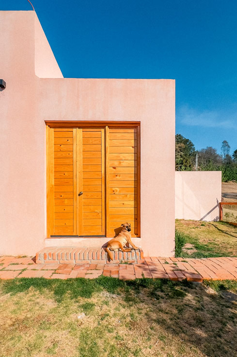 Entrance of a pink Airbnb with a brown dog sitting at the door.