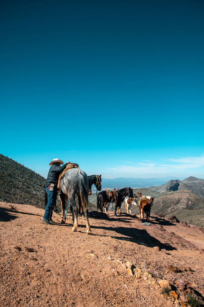 Cowboy fitting the saddle on a horse in the mountains of cerro el quemado in Real.