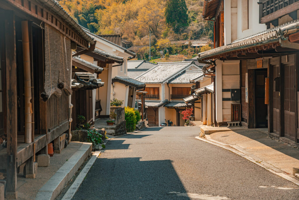 Empty Street with edo-era Japanese buildings on both sides